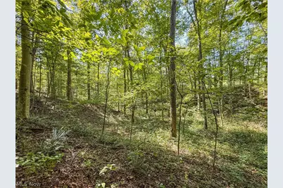 29556 Township Road 209, Coshocton, OH 43812 - Photo 50
