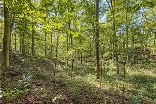 29556 Township Rd 209, Coshocton, OH 43812 - Photo 50