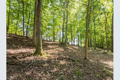 29556 Township Road 209, Coshocton, OH 43812 - Photo 40
