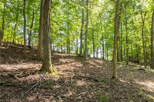29556 Township Rd 209, Coshocton, OH 43812 - Photo 40