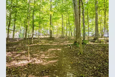 29556 Township Road 209, Coshocton, OH 43812 - Photo 40