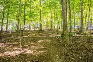 29556 Township Rd 209, Coshocton, OH 43812 - Photo 40