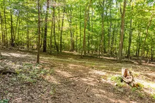 29556 Township Rd 209, Coshocton, OH 43812 - Photo 42