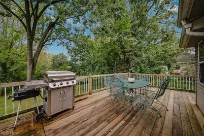 2821 Nesmith Lake Boulevard, Akron, OH 44314 - Photo 34