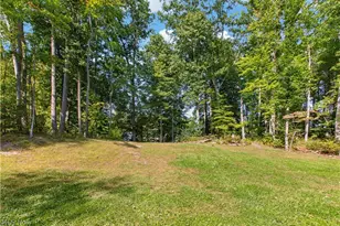 207 Spring Creek Rd, Northfield Center, OH 44067 - Photo 48