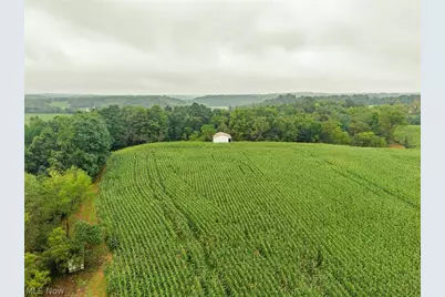 White Eyes Road, New Concord, OH 43762 - Photo 2