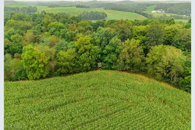 White Eyes Road, New Concord, OH 43762 - Photo 14