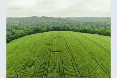 White Eyes Road, New Concord, OH 43762 - Photo 6