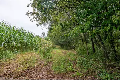 White Eyes Road, New Concord, OH 43762 - Photo 38
