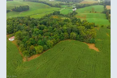 White Eyes Road, New Concord, OH 43762 - Photo 4