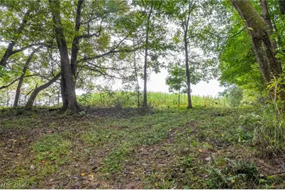 White Eyes Road, New Concord, OH 43762 - Photo 28