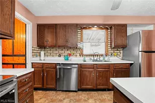 7365 N Ridge Rd, Madison, OH 44057 - Photo 14