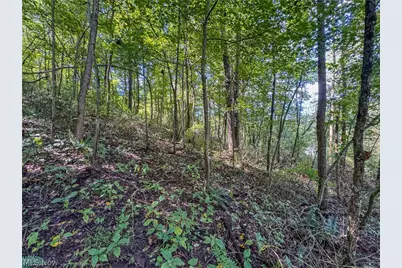37817 Township Road 437A, Dresden, OH 43821 - Photo 20