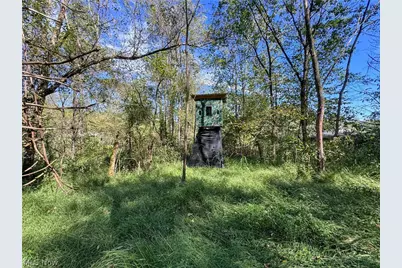 37817 Township Road 437A, Dresden, OH 43821 - Photo 16