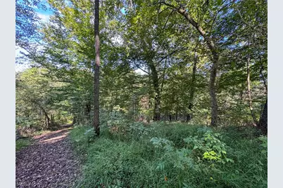 37817 Township Road 437A, Dresden, OH 43821 - Photo 26