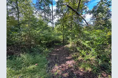 37817 Township Road 437A, Dresden, OH 43821 - Photo 30