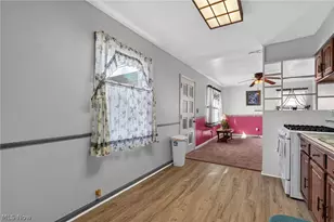 315 Morrison St, Geneva, OH 44041 - Photo 20