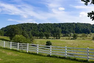 10432 Township Rd 65, Killbuck, OH 44637 - Photo 12