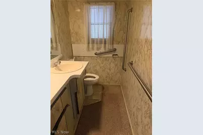 214 Reed Avenue, Campbell, OH 44405 - Photo 20
