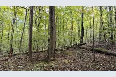 18853 Township Rd. 65, Coshocton, OH 43844 - Photo 36