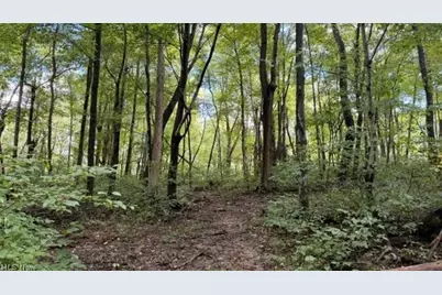 0 Township Rd. 65, Coshocton, OH 43844 - Photo 28