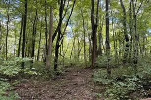 18853 Township Rd 65, Coshocton, OH 43844 - Photo 28