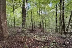18853 Township Rd 65, Coshocton, OH 43844 - Photo 50