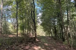 18853 Township Rd 65, Coshocton, OH 43844 - Photo 30