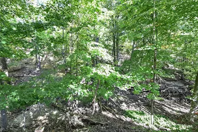 3240 Forest Overlook Drive, Green Hills, OH 44131 - Photo 40