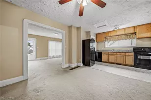 259 E 324th St, Willowick, OH 44095 - Photo 16