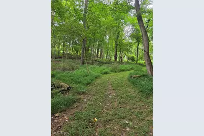 8097 Ore Hill Road SW, Stone Creek, OH 43840 - Photo 32