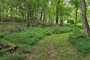 8097 Ore Hill Rd SW, Stone Creek, OH 43840 - Photo 32