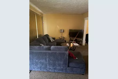 14609 Alder Avenue, Loveland, OH 44112 - Photo 2