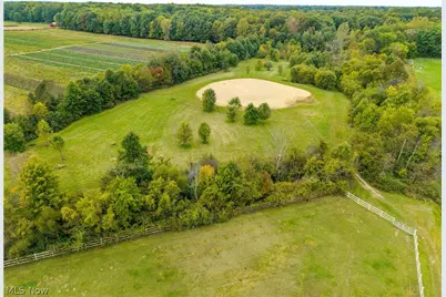 9742 Firestone Road, Homerville, OH 44235 - Photo 46