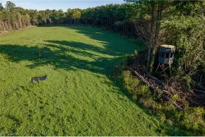 Perl Road, Chandlersville, OH 43727 - Photo 2