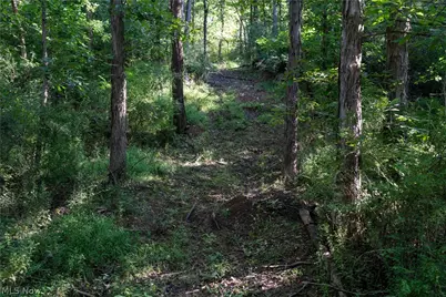 Perl Road, Chandlersville, OH 43727 - Photo 20