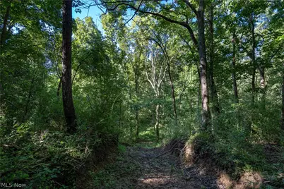 Perl Road, Chandlersville, OH 43727 - Photo 10