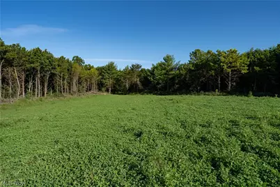 Perl Road, Chandlersville, OH 43727 - Photo 4