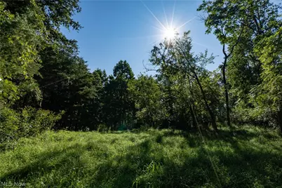 Perl Road, Chandlersville, OH 43727 - Photo 14