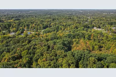 4573 Nettleton Road, Medina, OH 44256 - Photo 44