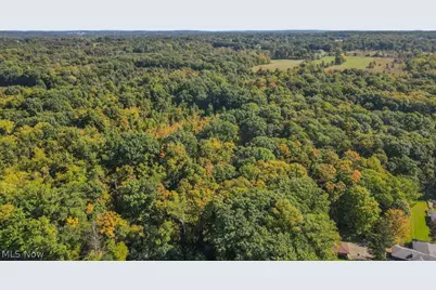 4573 Nettleton Road, Medina, OH 44256 - Photo 50