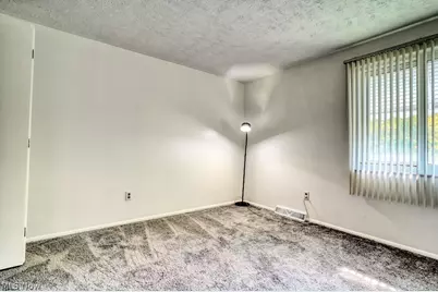396 Skyview Road, Loveland, OH 44109 - Photo 30