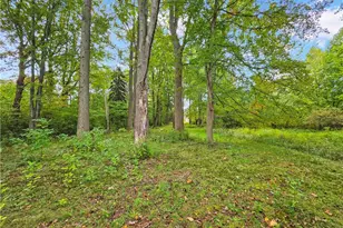 4605 New London Rd, Saybrook, OH 44004 - Photo 36