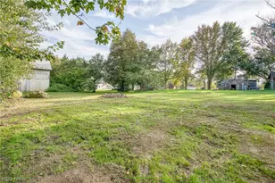 12333 Portage St, Rittman, OH 44270 - Photo 28