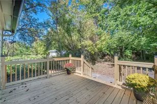 12813 Angelus Ave, Loveland, OH 44105 - Photo 44