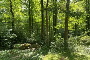 17079 Cats Den Rd, Chagrin Falls, OH 44023 - Photo 36