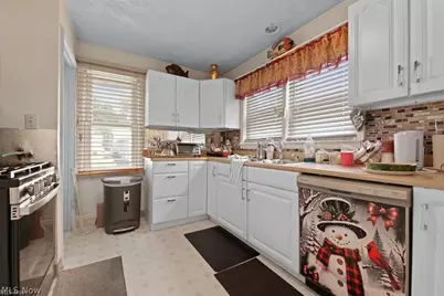 1887 W Beech Street, Alliance, OH 44601 - Photo 6