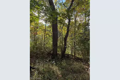 St Route 303, Streetsboro, OH 44241 - Photo 24