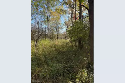 St Route 303, Streetsboro, OH 44241 - Photo 6