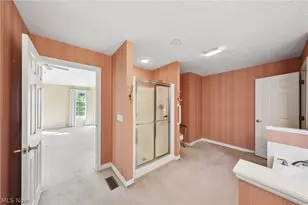 107 Blackberry Dr, Hudson, OH 44236 - Photo 26